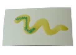 Seed beads on wax squiggle